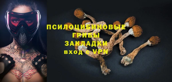 не бодяженный Алзамай