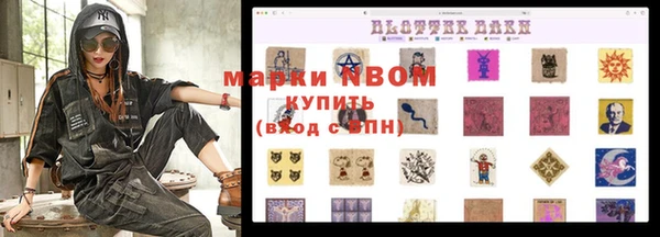 стаф Балахна