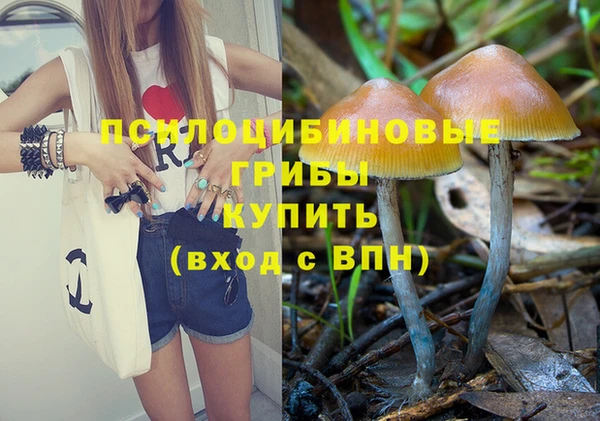 прущая мука Баксан