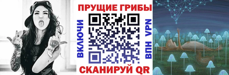 KRAKEN рабочий сайт Бор Галлюциногенные грибы Magic Shrooms