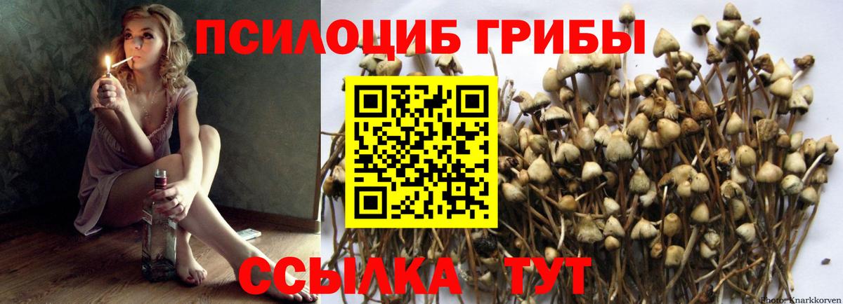Галлюциногенные грибы мухоморы  Галлюциногенные грибы GOLDEN TEACHER  Вход с VPN  Бор 